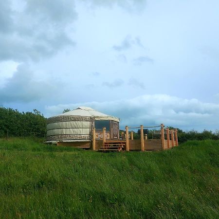 Hotel The Kites Rest At Castle Creavie Farm Kirkcudbright Zewnętrze zdjęcie